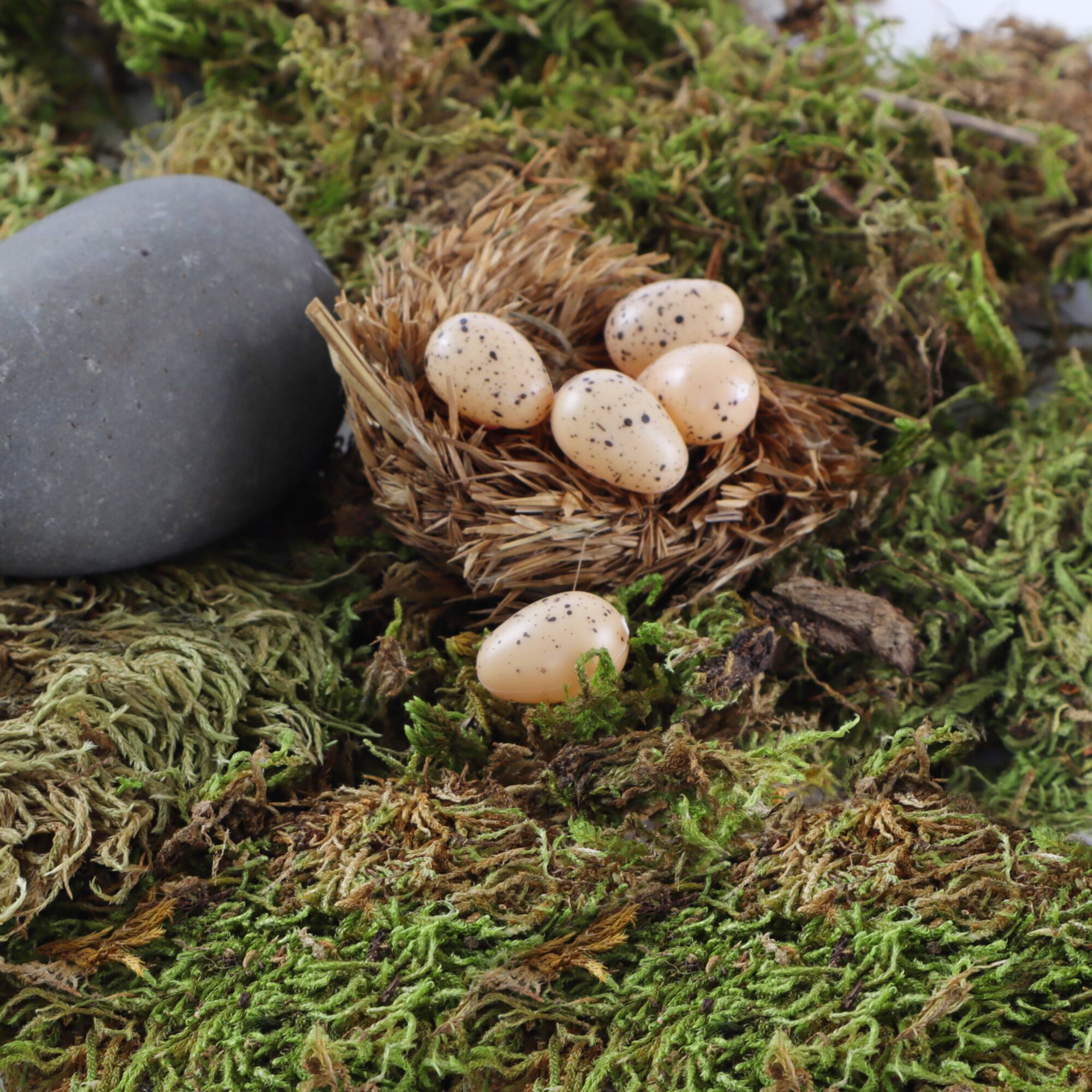 Nature Center Speckled Tan Eggs by Ashland®